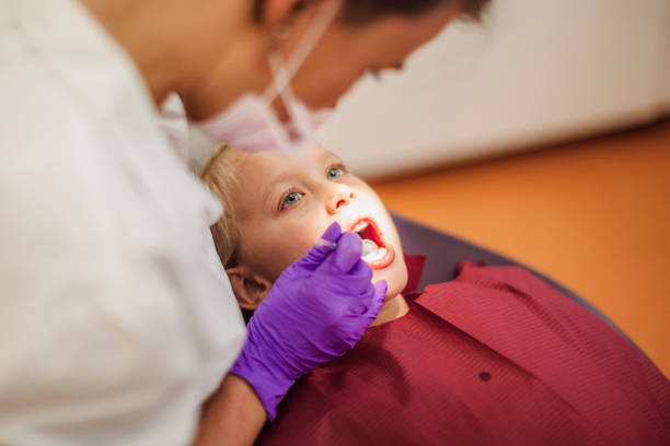 Best Orthodontic Emergency Dentist in Temple Terrace, FL